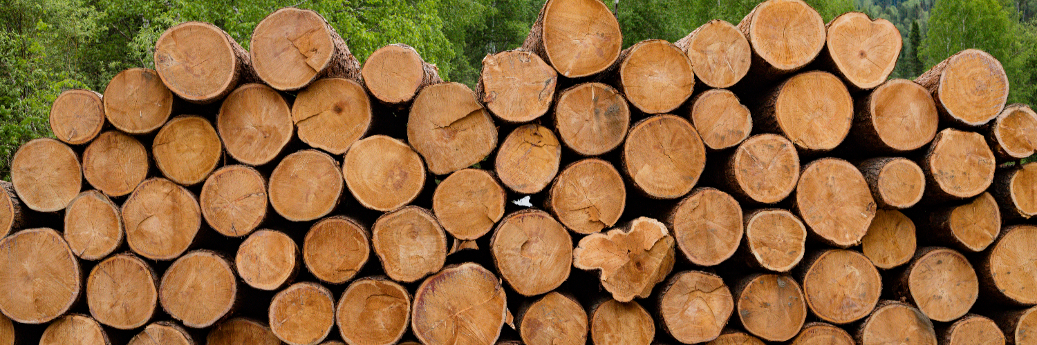 shutterstock_1146349076 Carrousel cèdre photo 3.jpg