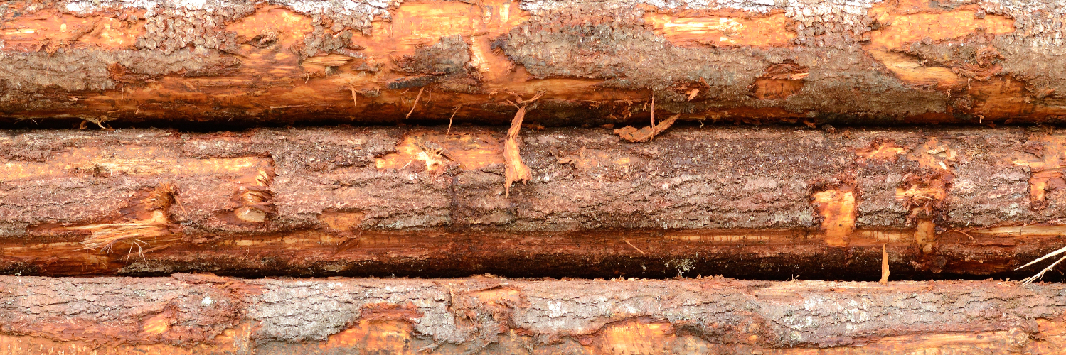 shutterstock_127785584 - Carrousel Douglas Photo 01.jpg