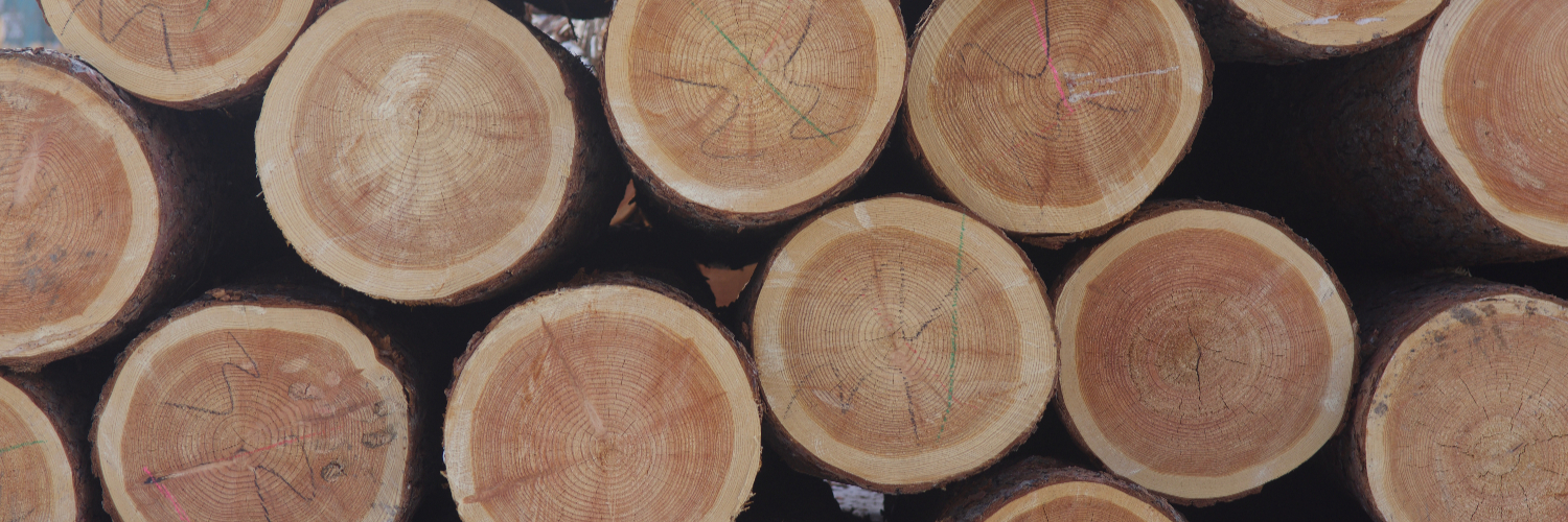 shutterstock_1330091855 Carrousel Mélèze Photo 02.jpg